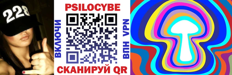 Псилоцибиновые грибы мицелий  закладки  Каменногорск 