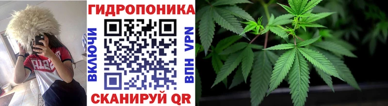 купить наркоту  Каменногорск  Бошки Шишки White Widow 